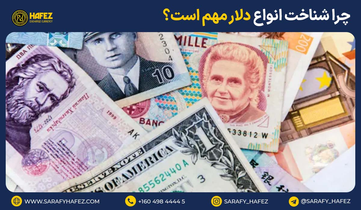 چرا شناخت انواع دلار مهم است؟ چه تاثیری در خرید یا فروش دارد؟
