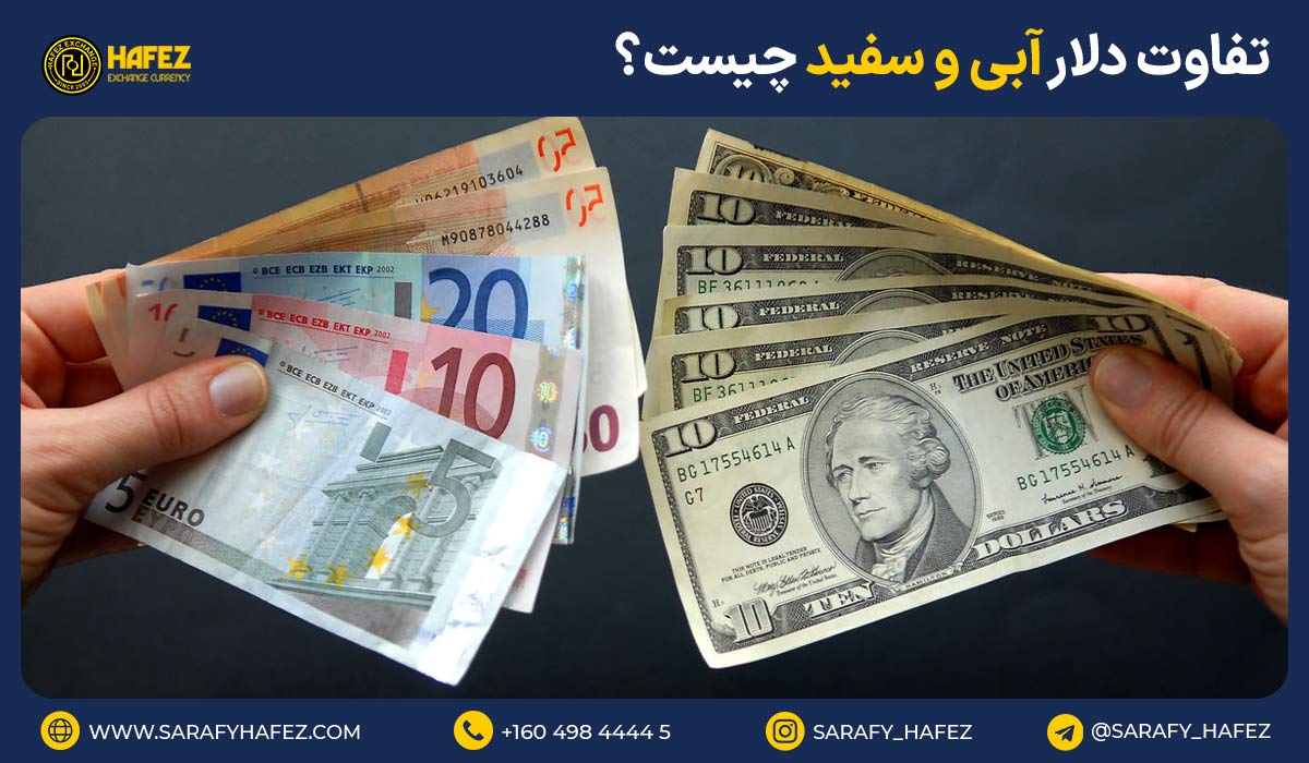 تفاوت دلار آبی و سفید چیست؟
