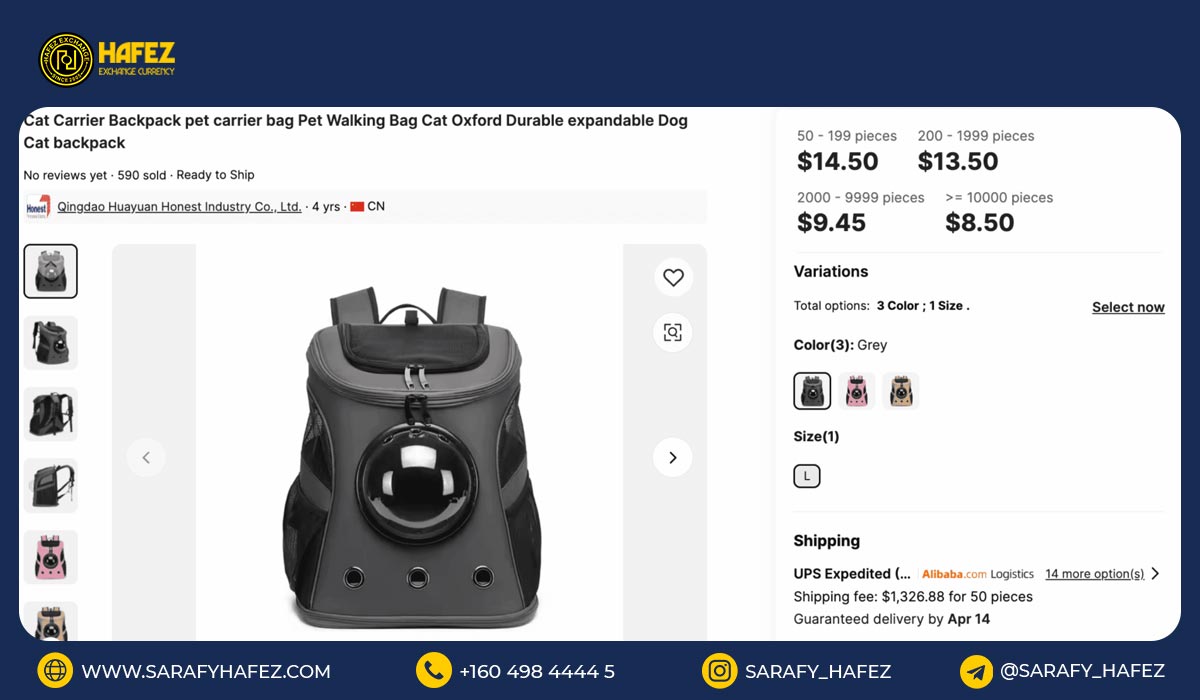 کوله حمل گربه